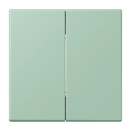 Friends of Hue radio transmitter, 4-channel, vert anglais clair (32041)