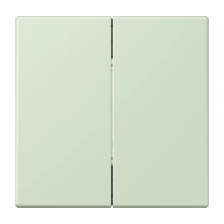 Friends of Hue radio transmitter, 4-channel, vert anglais pâle (32042)