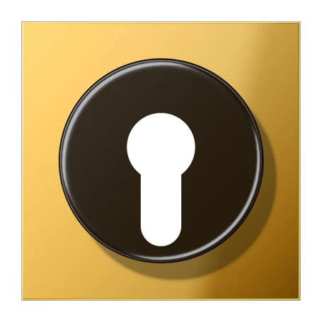 Centre plate, for key switch with protection against dismounting, gold-coloured