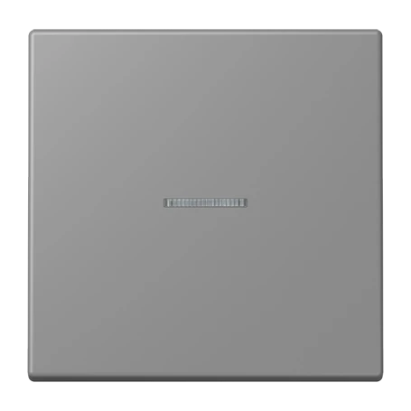 Tecla simple 1 fase, F10, gris 31 (32011)