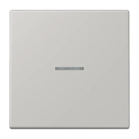 Tecla simple 1 fase, F10, gris clair 31 (32013)