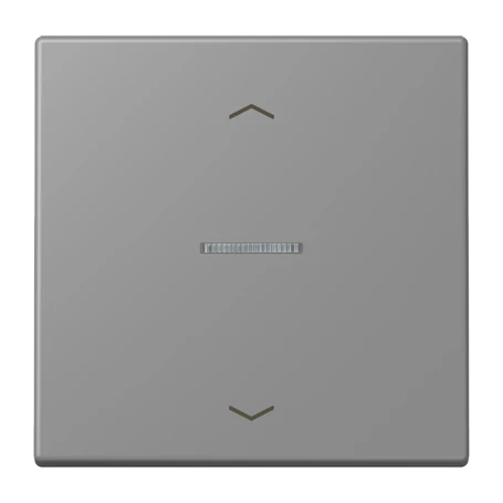 Enjoliveur touche 1 voie, F10, gris 31 (32011)