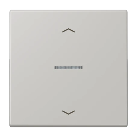 Enjoliveur touche 1 voie, F10, gris clair 31 (32013)