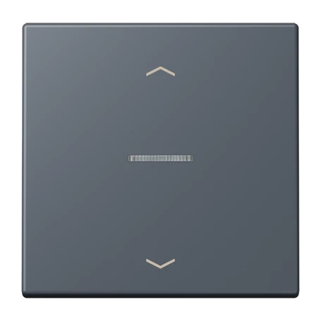 Enjoliveur touche 1 voie, F10, gris foncé 59 (4320U)