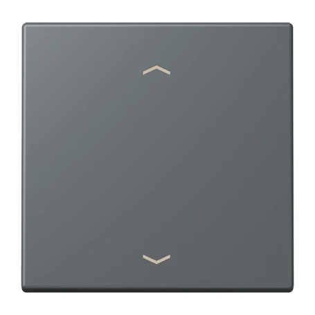 Tecla simple 1 fase, F10, gris foncé 31 (32010)