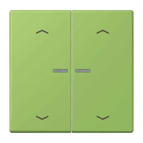 Tecla simple 2 fases, F10, vert 31 (32051)