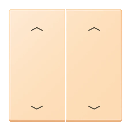 Wippe 2fach, F10, ocre (32060)