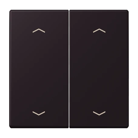 Wippe 2fach, F10, noir d'ivoire (4320E)