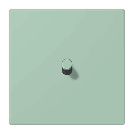 Centre plate with toggle lever "cylinder", 1 toggle lever, vert anglais clair (32041)
