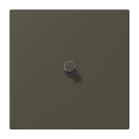 Centre plate with toggle lever "cylinder", 1 toggle lever, ombre naturelle 31 (32140)