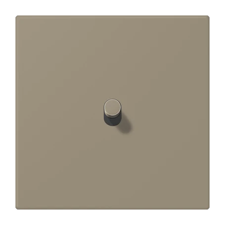 Centre plate with toggle lever "cylinder", 1 toggle lever, ombre naturelle moyenne (32141)