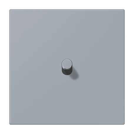 Centre plate with toggle lever "cylinder", 1 toggle lever, gris clair 59 (4320O)