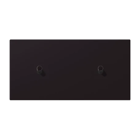 Centre plate with toggle lever "cylinder", 2 x 1 toggle lever, noir d'ivoire (4320E)