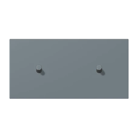 Centre plate with toggle lever "cylinder", 2 x 1 toggle lever, gris 59 (4320H)