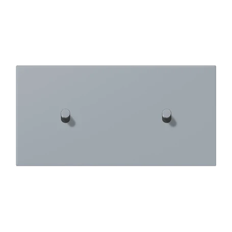 Centre plate with toggle lever "cylinder", 2 x 1 toggle lever, gris clair 59 (4320O)