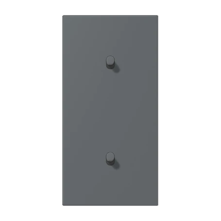 Centre plate with toggle lever "cylinder", 2 x 1 toggle lever, gris foncé 31 (32010)