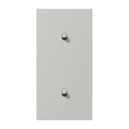 Centre plate with toggle lever "cylinder", 2 x 1 toggle lever, gris clair 31 (32013)