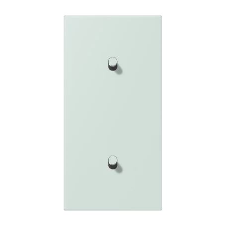 Centre plate with toggle lever "cylinder", 2 x 1 toggle lever, céruléen pâle (32034)