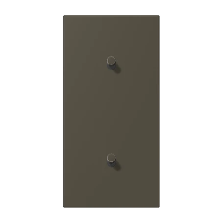Centre plate with toggle lever "cylinder", 2 x 1 toggle lever, ombre naturelle 31 (32140)