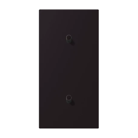 Centre plate with toggle lever "cylinder", 2 x 1 toggle lever, noir d'ivoire (4320E)