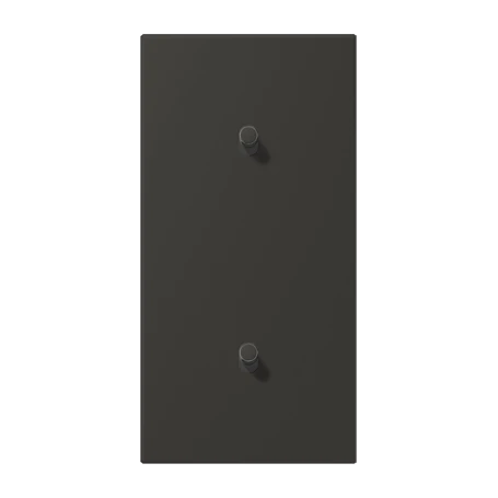 Centre plate with toggle lever "cylinder", 2 x 1 toggle lever, ombre naturelle 59 (4320R)