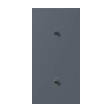 Centre plate with toggle lever "cylinder", 2 x 1 toggle lever, gris foncé 59 (4320U)