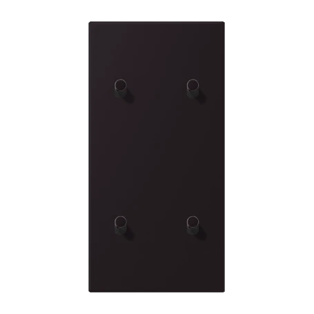 Centre plate with toggle lever "cylinder", 2 x 2 toggle levers, noir d'ivoire (4320E)