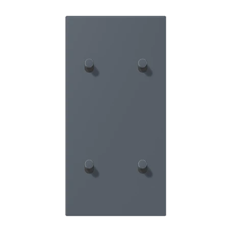 Centre plate with toggle lever "cylinder", 2 x 2 toggle levers, gris foncé 59 (4320U)