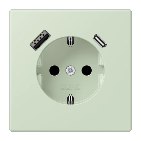 SCHUKO® socket with USB charger, Safety Plus, thermoplastic lacquered, vert anglâis pale