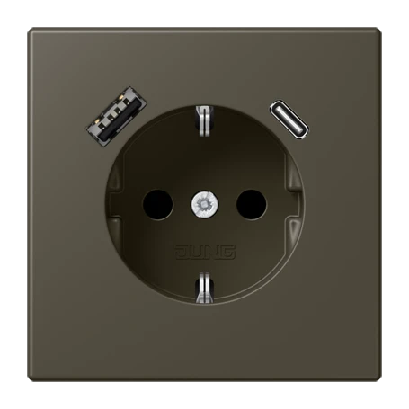 SCHUKO® socket with USB charger, Safety Plus, thermoplastic lacquered, ombre naturelle 31