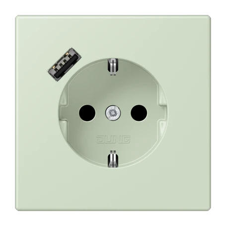 SCHUKO® socket with USB charger, Safety Plus, thermoplastic lacquered, vert anglâis pale