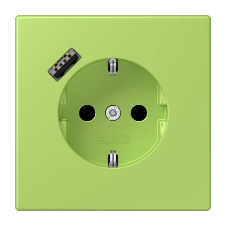 SCHUKO® socket with USB charger, Safety Plus, thermoplastic lacquered, vert clair