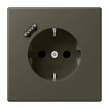 SCHUKO® socket with USB charger, Safety Plus, thermoplastic lacquered, ombre naturelle 31