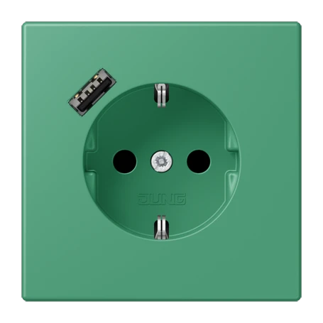 SCHUKO® socket with USB charger, Safety Plus, thermoplastic lacquered, vert 59