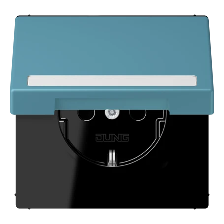 SCHUKO® socket, Safety Plus, with inscription field, thermoplastic lacquered, céruléen vif