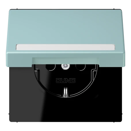 SCHUKO® socket, Safety Plus, with inscription field, thermoplastic lacquered, céruléen clair