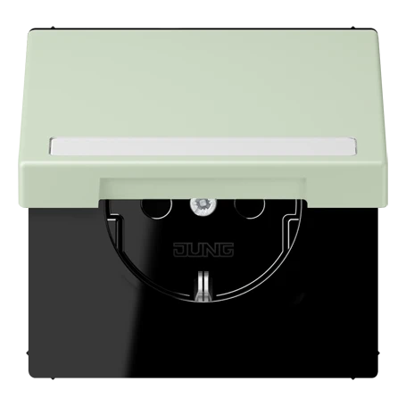 SCHUKO® socket, Safety Plus, with inscription field, thermoplastic lacquered, vert anglâis pale