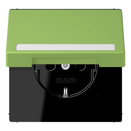 SCHUKO® socket, Safety Plus, with inscription field, thermoplastic lacquered, vert 31