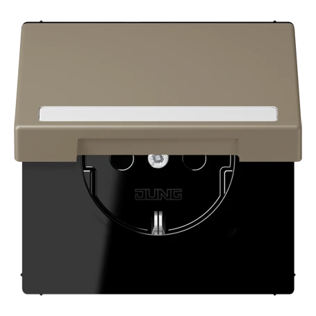 SCHUKO® socket, Safety Plus, with inscription field, thermoplastic lacquered, ombre naturelle moyenne