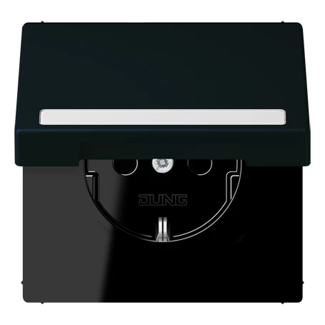 SCHUKO® socket, Safety Plus, with inscription field, thermoplastic lacquered, noir d'ivoire