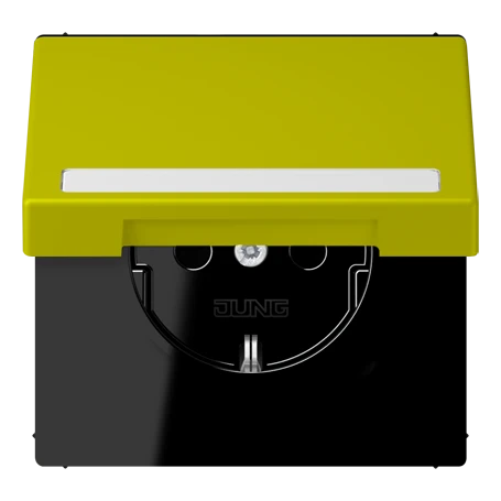 SCHUKO® socket, Safety Plus, with inscription field, thermoplastic lacquered, vert olive vif