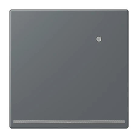 LED floor pilot light, with integrated brightness sensor, gris foncé 31 (32010)