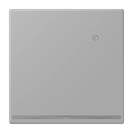 LED floor pilot light, with integrated brightness sensor, gris moyen (32012)
