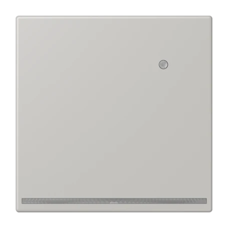 LED floor pilot light, with integrated brightness sensor, gris clair 31 (32013)