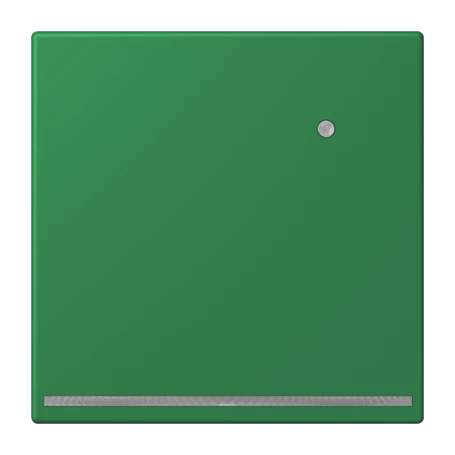 LED floor pilot light, with integrated brightness sensor, vert foncé (32050)