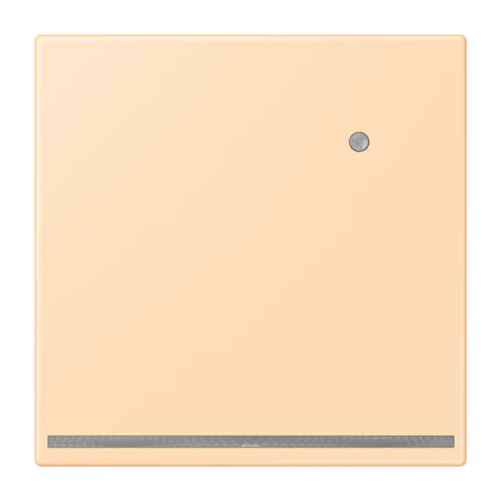 LED floor pilot light, with integrated brightness sensor, ocre (32060)