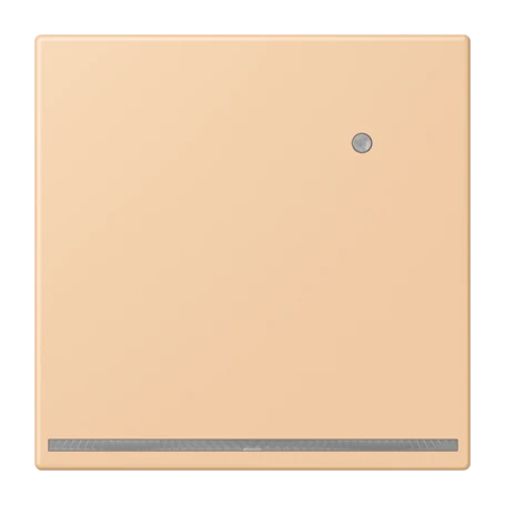 LED floor pilot light, with integrated brightness sensor, terre sienne claire 31 (32122)