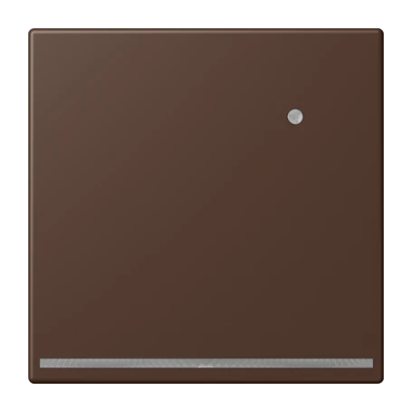 LED floor pilot light, with integrated brightness sensor, terre d’ombre brûlée 31 (32130)