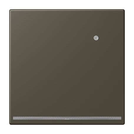 LED floor pilot light, with integrated brightness sensor, ombre naturelle 31 (32140)