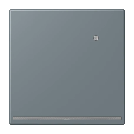 LED floor pilot light, with integrated brightness sensor, gris 59 (4320H)